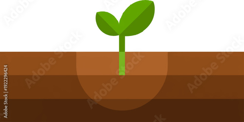 Small green plant sprouting from brown soil with two leaves symbolizing growth and new life in a natural environment