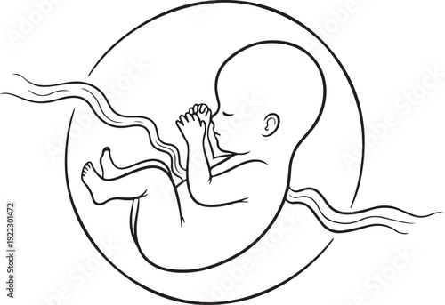 Black and white line of a fetus inside a circle with umbilical cord baby unborn pregnancy gestation