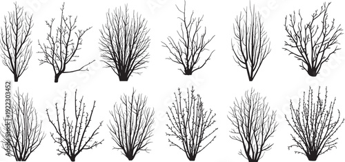  bare tree branches silhouettes with thin twigs and no leaves, silhouettes of leafless bushes and shrubs, commonly used as vector design elements for autumn or winter scenes. vector illustration