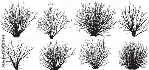 Bare bush silhouettes set, leafless bushes vector set, various shrubs without leaves in winter or autumn