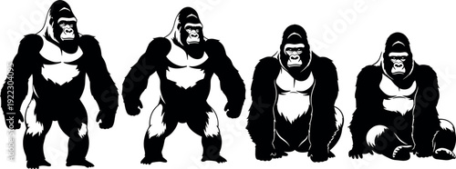 Gorilla silhouette illustration, wildlife animal vector, primate posture artwork, evolution stance drawing, nature design graphic, black and white sketch