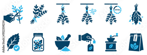 Dried herbs and tea making icon set showing the process of harvesting, hanging, grinding, storing, and packaging leaves for natural herbal remedies in a simple two-tone blue glyph style