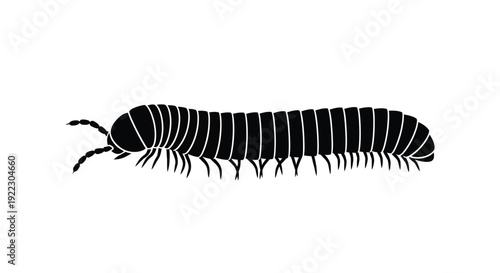 A black silhouette of a segmented millipede crawling forward