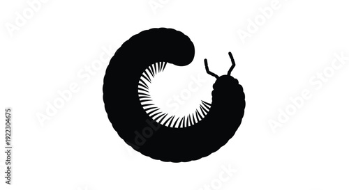 A coiled millipede with antennae presented as a dark silhouette