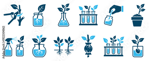 Set of plant propagation icons shows horticulture and gardening methods like taking cuttings, rooting in water, air layering, and seed germination for botanical science and agriculture concepts