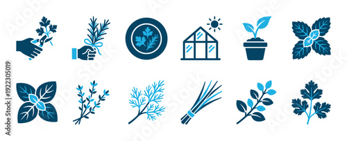 Vibrant collection of flat design herb and gardening icons, depicting various culinary plants, cultivation, and harvesting activities in a modern two-tone style
