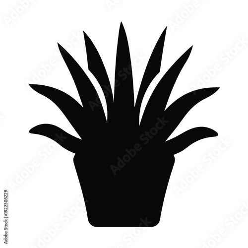 Silhouette of a potted aloe vera plant with spiky leaves indoors
