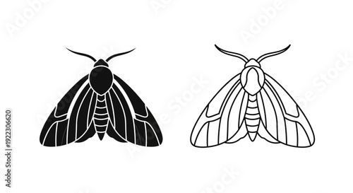 Black and white moths, insects, nature, illustrations, vector art, design elements Vector