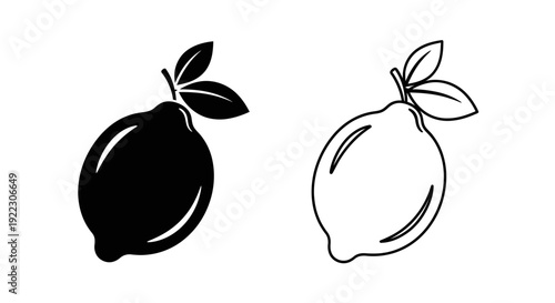 Fruits, lemon, orange, illustration, design, vector, art, graphic, food, healthy, citrus, fresh, nature, organic, juice, vitamins Vector