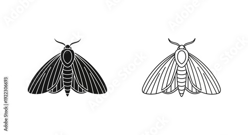 Black and white moths illustration with detailed wings and antennae Vector