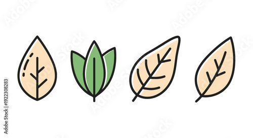 Almond leaf Line art colorful modern vector.eps