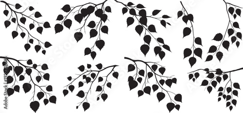 tree branches and leaves black silhouette set, decorative ivy vine design element, minimalistic vector of leaves in outline, plant stem or tree branch, vector