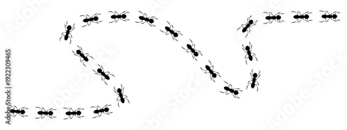 Black print track shows ants walking in a wavy line, representing teamwork, following a path, or an insect pattern