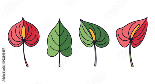 Anthurium leaf Line modern colorful abstract illustration.eps