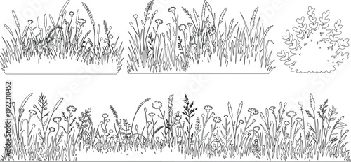 set of forest line cad, Ground cover. Illustration for elevation architectural element, side view, grass section. silhouettes of grass and wheat vector illustrations