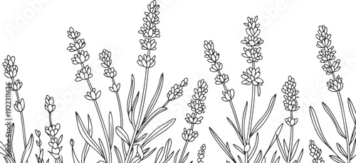 Cute Cartoon Penguins Winter Sports Outline Icon Set Ice Skating, Skiing, Snowboarding