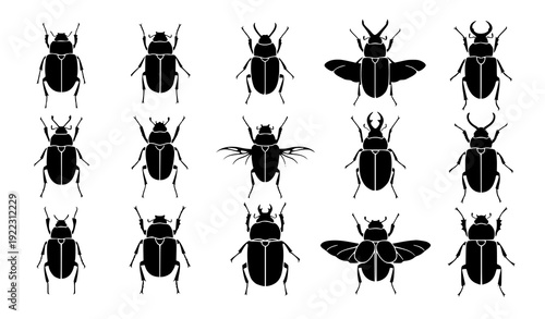 Beetle silhouette vector set with top view insect shapes in minimalist black flat design