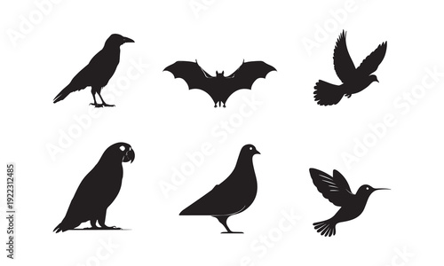 Silhouettes of crow, bat, eagle, parrot, pigeon, and hummingbird showcasing avian diversity, flight, adaptation, predator-prey dynamics, and dynamic natural forms.