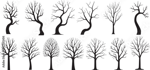 Leafless tree silhouettes collection with bare winter branches, collection of twelve minimalist black tree silhouettes in various styles, representing bare or leafless branches. vector illustration