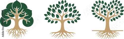 Tree of life, nature inspired art, wellness, spirituality, decor themes, intricate designs, silhouette, branches, leaves, patterns, black, white, roots, growth, organic, natural beauty, elegance,