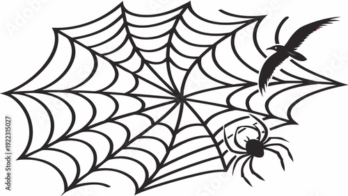 Spider web with spider and bird in flight