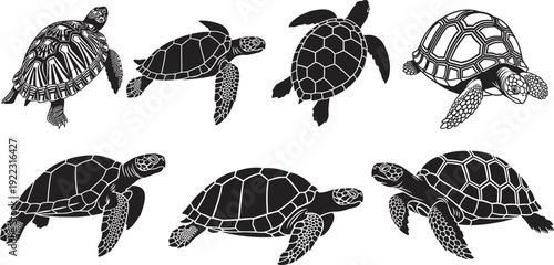 Black sea turtle silhouettes and detailed tortoise illustrations set, marine reptile swimming poses, aquatic animal icons for ocean conservation and nature.