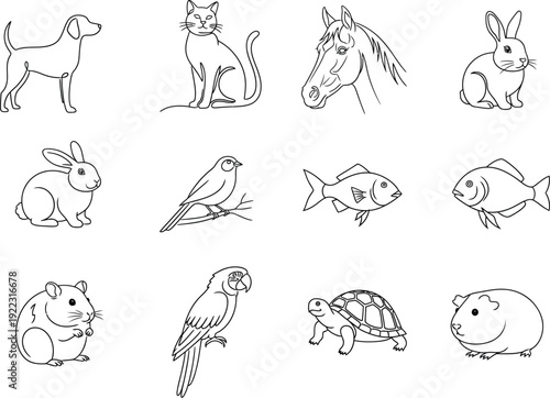Charming line art illustrations of common domestic and farm animals, including a dog, cat, horse, rabbit, bird, fish, hamster, parrot, turtle, and guinea pig.