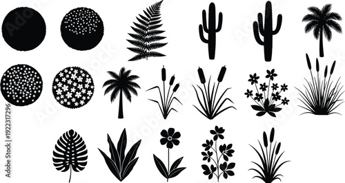 Tropical plants cactus palm and bush silhouettes collection, botanical nature set, black flat vector illustration isolated on white