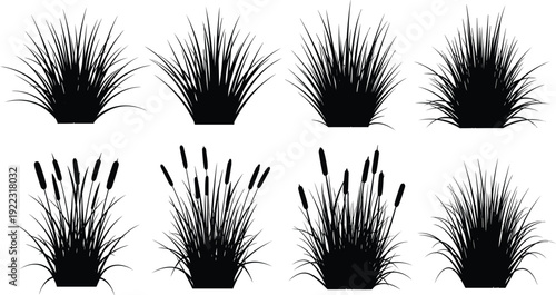 Wild grass and cattail silhouettes collection, decorative meadow reed plants set, black flat vector illustration isolated on white