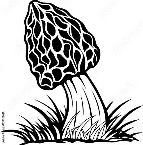 Morel Mushroom Growing in Grass Black and White Vector Illustration