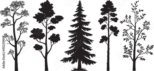Trees silhouettes set . Forest and park pines firs and spruces, coniferous and deciduous trees.  five distinct tree silhouettes with varying heights, branch structures, and leaf shapes. 
vector