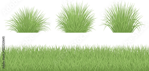 Fresh green grass lawn and bush collection, natural meadow border plants set, flat vector illustration isolated on white