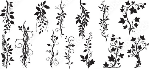 collection of floral design elements, specifically silhouettes of jungle creepers and vines. vector illustration