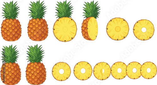 Flat vector illustration set of fresh pineapples including whole fruits with green leaves sliced halves and round ring pieces for healthy tropical food concept.