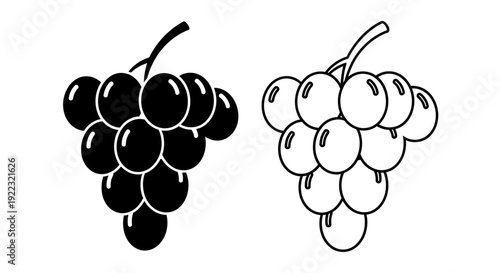 Black and white grapes illustration, vector design of grape bunches, fruit art Vector