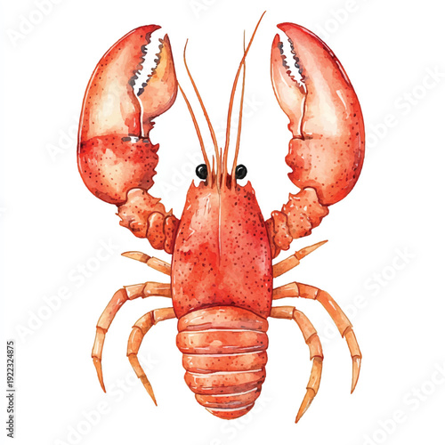 Watercolor Illustration of a Vivid Red Lobster with Detailed Claws and Antennae