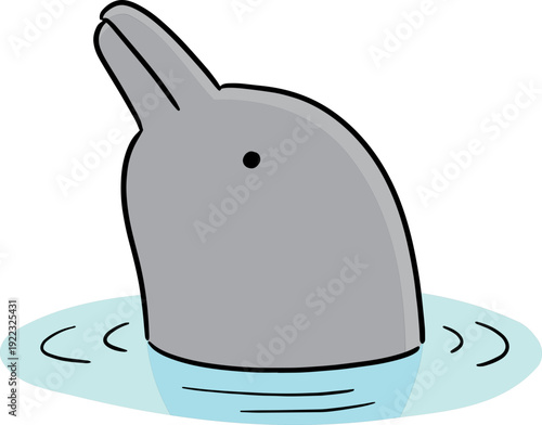 Illustration of dolphin