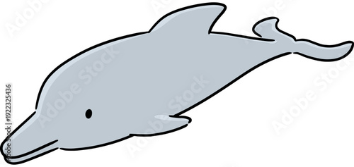 Illustration of dolphin