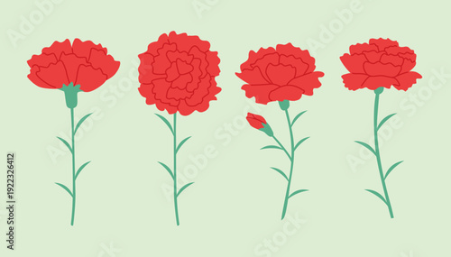 Set of red carnation flowers with green stems for Mother's Day
