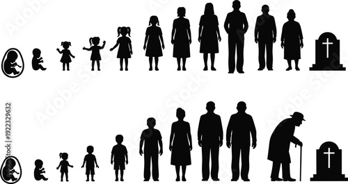 Human life cycle stages illustration showing male and female silhouettes from fetus to old age and death, concept of growth, aging, and mortality