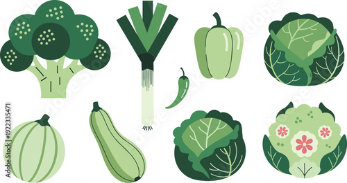 Green Vegetable Vector Illustration Set with Broccoli Cabbage Leek Zucchini and Pepper Isolated on White Background for Cooking