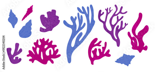  Naive style leaves, algae or fronds. A modern, simple vector illustration featuring marine life. Coral and shell silhouettes for decor and design. Hand-drawn illustration with pencil textures.