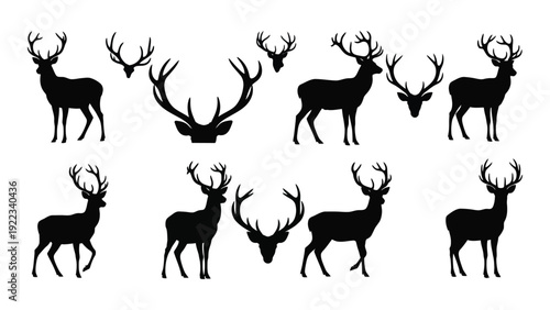 A group of deer silhouettes in various poses and sizes isolated on white background, Vector