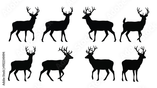 A group of deer silhouettes walking in different directions isolated on white background, Vector