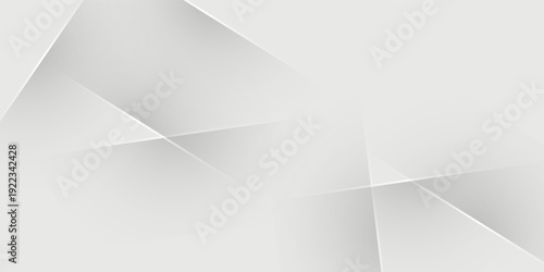 Minimal abstract backdrop in soft white and gray tones with gentle blur effect, perfect for modern presentations and web design.