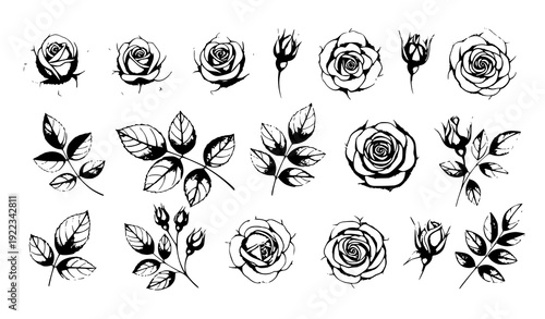 Watercolor pink rose floral frame set elegant spring flower border vector illustration