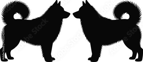 Two mirrored fluffy spitz dog silhouettes facing each other, black canine pair flat vector illustration isolated logo design