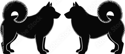 Two mirrored fluffy spitz dog silhouettes facing each other, black canine pair, isolated flat vector illustration logo design