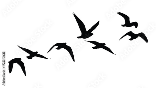 A flock of birds flying in formation isolated on white background, Vector