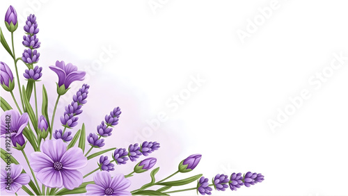 Lavender Flowers Side Border Design with Copy Space – Elegant Floral Vector Background Illustration